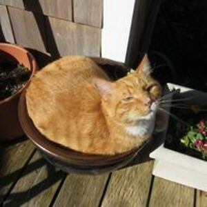 crawdaddy2craw avatar