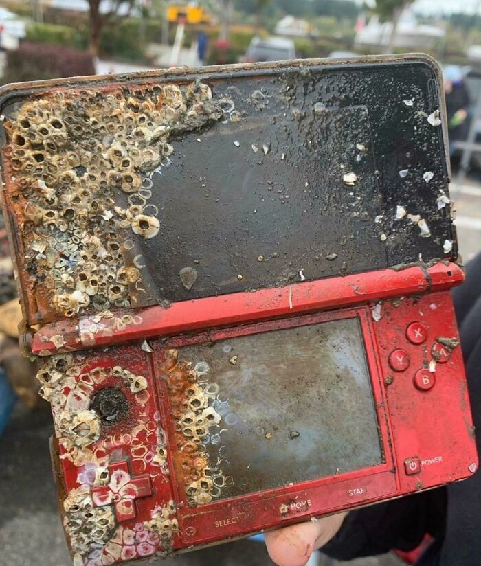 Old 3ds Found With Erosion And Barnacles Found While Diving