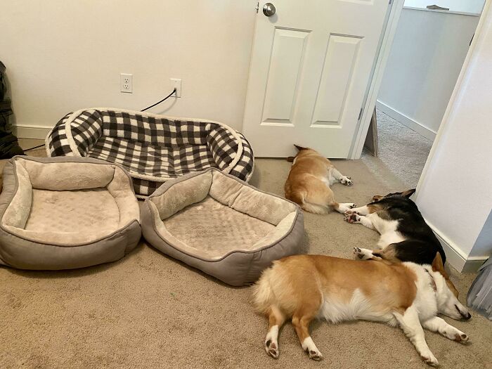 3 Beds And They Still Chose The Floor