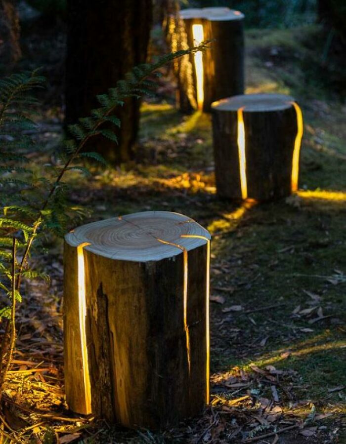 Lámparas de troncos agrietados