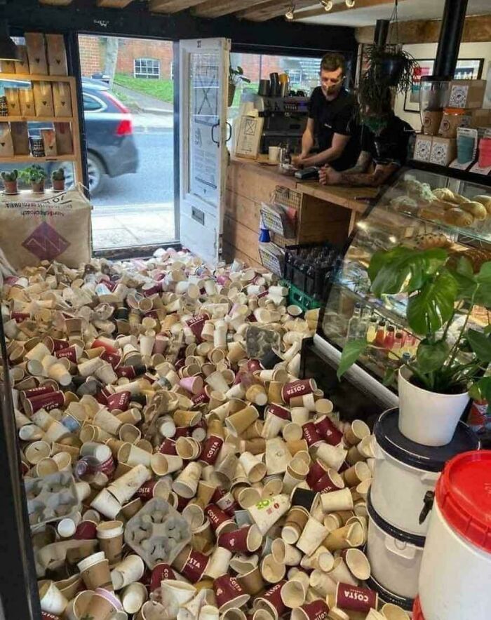 A Coffee Shop In Kent, UK, Has Made The Brave Decision To Only Serve Customers Who Bring Their Own Cup To The Store, And To Illustrate Why They Are Doing This They Filled Their Store Floor With Disposable Cups