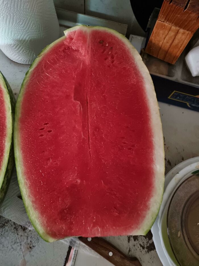 I Hit The Watermelon Jackpot