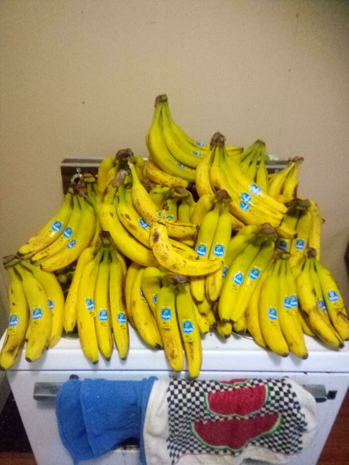 I Got All Deez 242 Bananas From A Dumpster. Banana For Scale