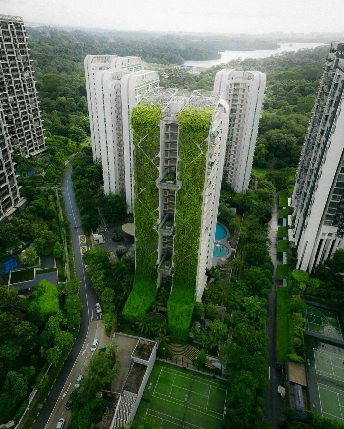 "Casa del árbol", Singapur
