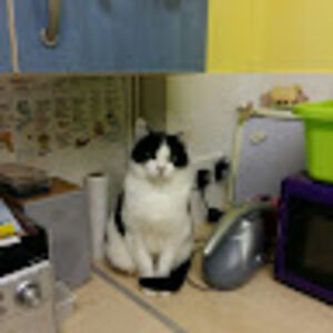 cleoldbagtraallsorts avatar