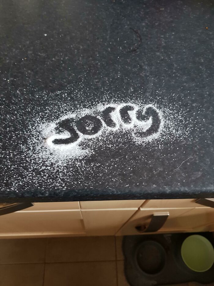 Instead Of Cleaning Up The Sugar He Spilled, My Boyfriend Decides This Is Perfectly Reasonable Instead