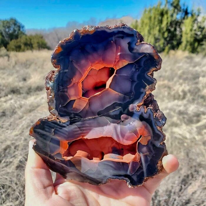 Exotic, Beautiful, And Rare Patagonian Crater Agate Only Found In Argentina!