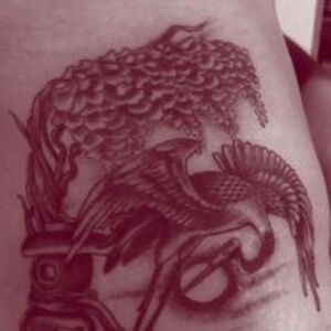 divdesignagency avatar