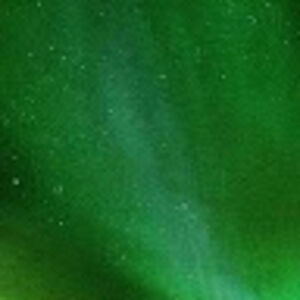 tyrelljames99 avatar