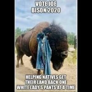 nativfreespirit1 avatar