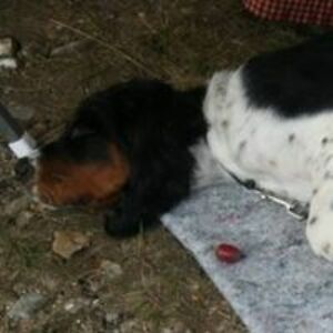 coltwalker1847 avatar