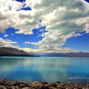 lovely_dawnchen avatar