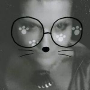 jettykitty avatar