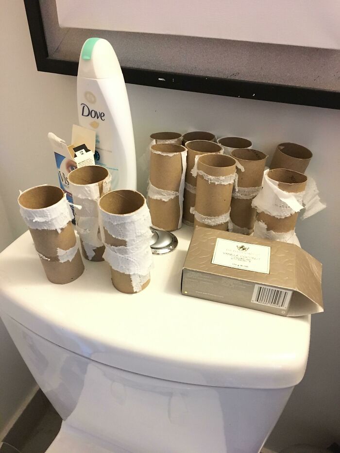 My Boyfriend Doesn't Throw Away Empty Toilet Paper Rolls. Instead, The Top Of The Toilet Becomes His Garbage Display Area