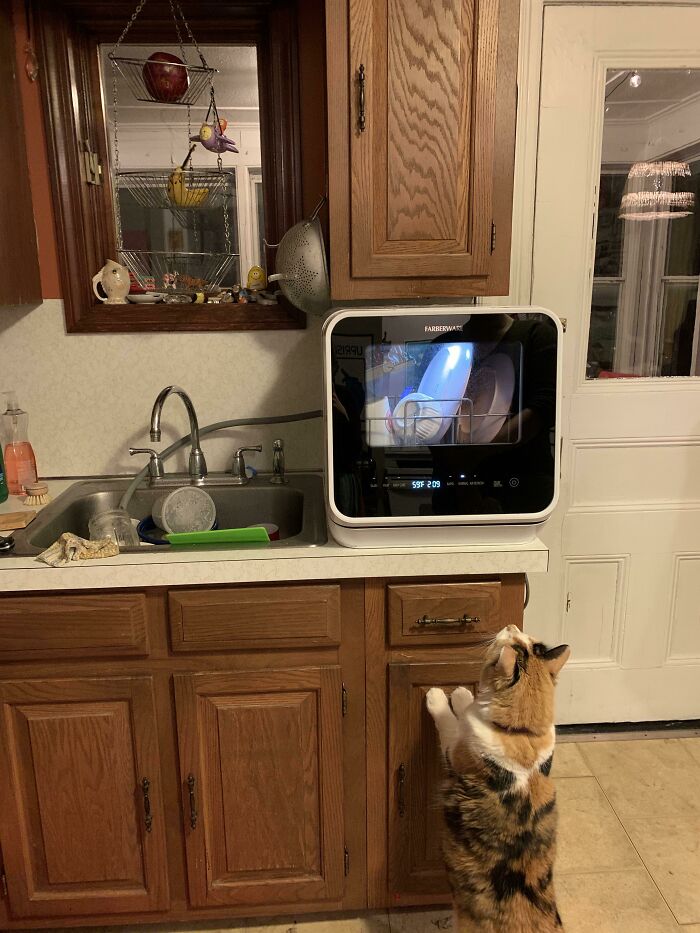 Found This Tiny Portable Dishwasher On Facebook Marketplace For $40. It Was Barely Used, The Protective Film Was Even Still On. These Go For $380 New!