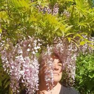 lorraine_filyer avatar