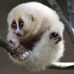 duwayne_brayton avatar