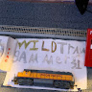 wildtraingamer31 avatar