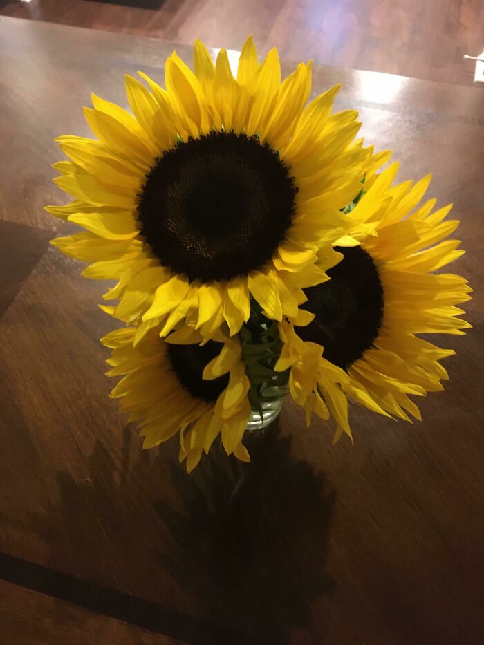 I’m Going Through Some Bad Depression Right Now And My Husband Surprised Me With Sunflowers. It Made Me Ugly Cry With Happiness