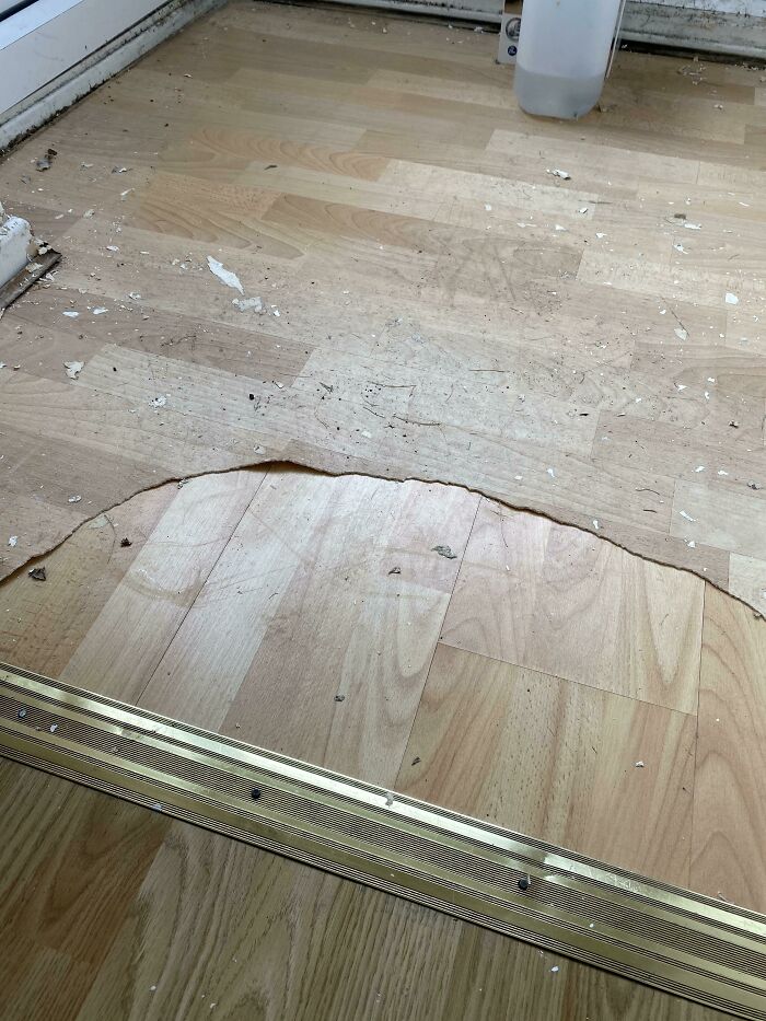 Pulling Up The The Flooring In My Porch To Reveal More Flooring