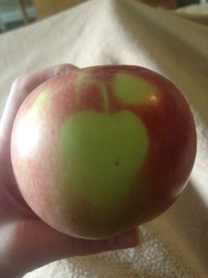 Esta manzana tiene una manzana sobre ella
