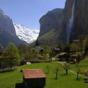 diannebissessar avatar