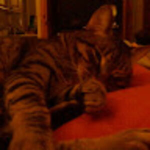 kristinadunning avatar