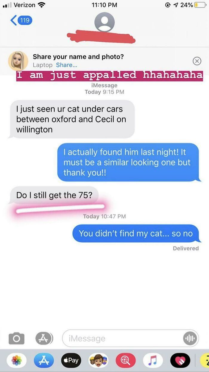 There Was A $75 Reward For A Lost Cat