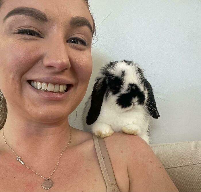 Everyone, Meet Prudence. She’s A Holland Lop That I Adopted From A Friend’s Farm. She Likes To Sit On My Shoulder Like A Parrot