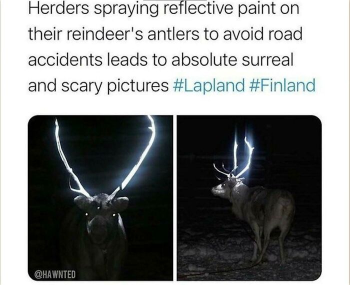 Thanks I Hate Glow In The Dark Reindeer