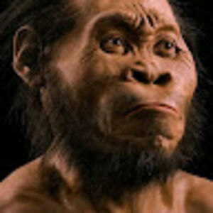 marshallgeorge avatar