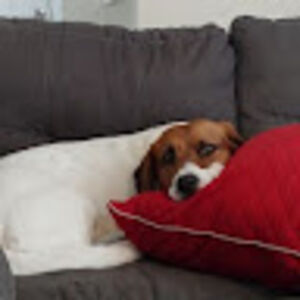 shawnaedwards avatar