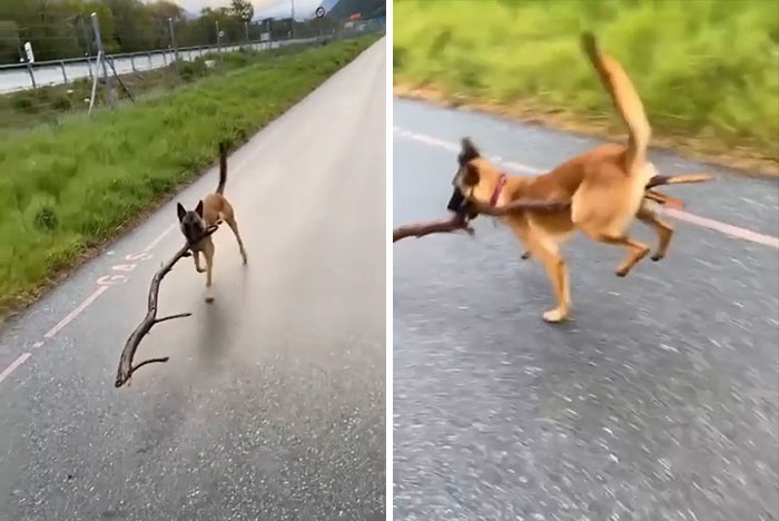 Branch Manager