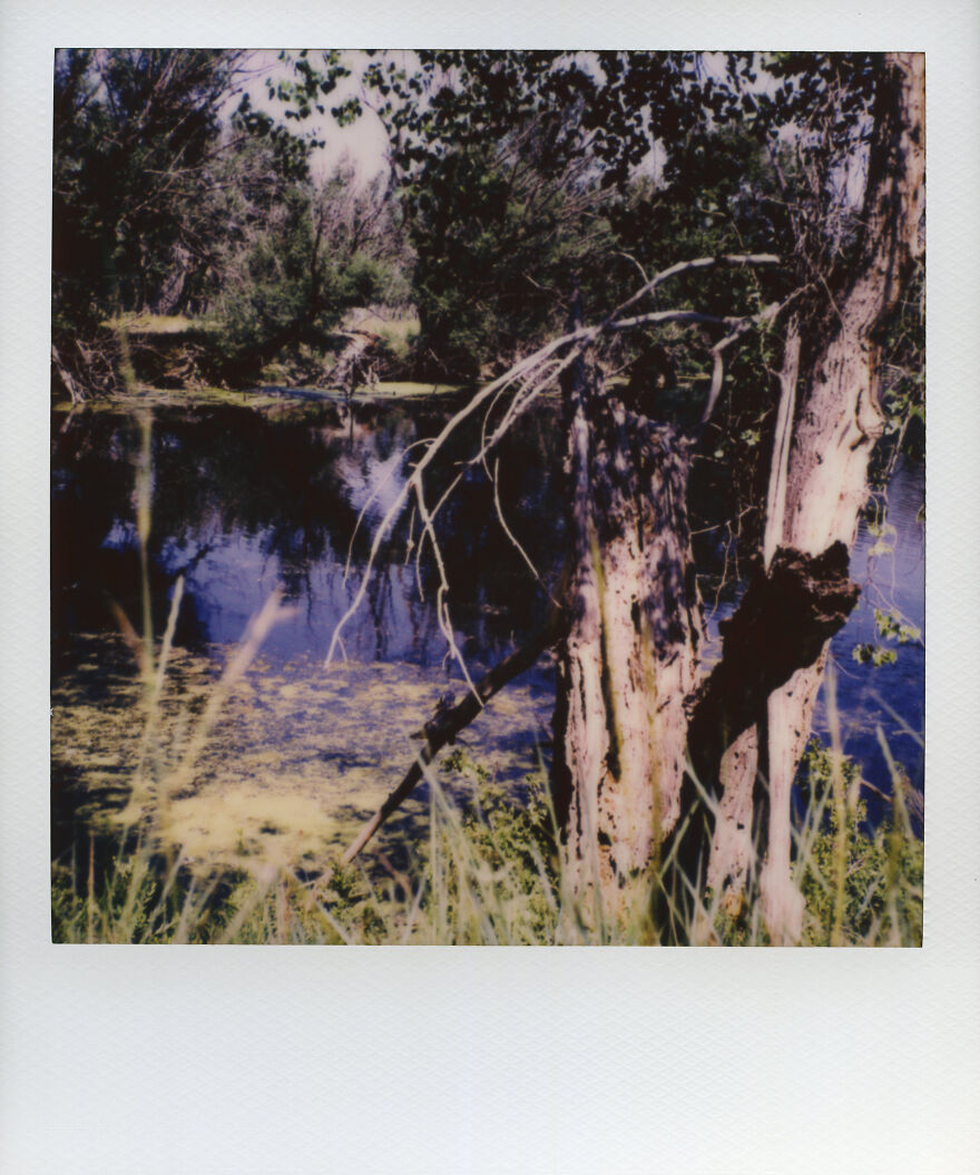Polaroid Landscape & Portrait Photography
