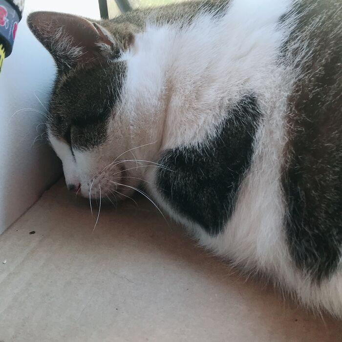 Kitty Wears Her Heart On Her Sleeve