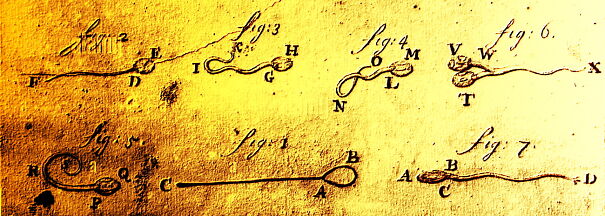 Anton-van-leeuwenhoek-drawing-of-human-sperm-619ee4db38215.jpg