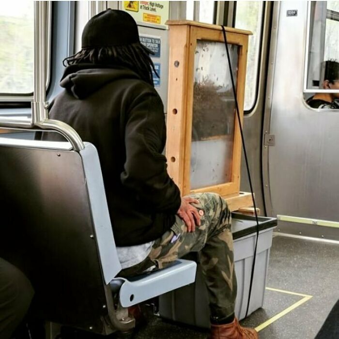 Stop Me If You’ve Heard This One. A Guy Gets On CTA (Chicago) With A Colony Of Bees