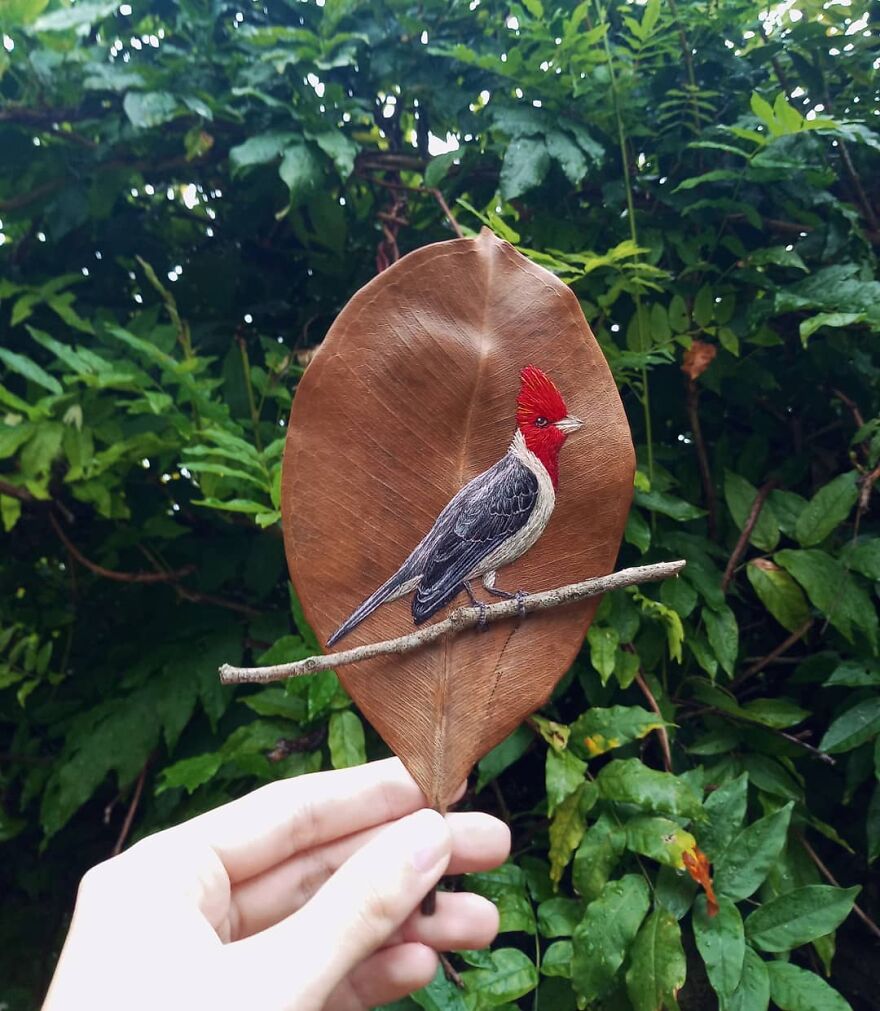 Brazilian Artist Conquers The Internet Making Embroidery On Tree Leaves