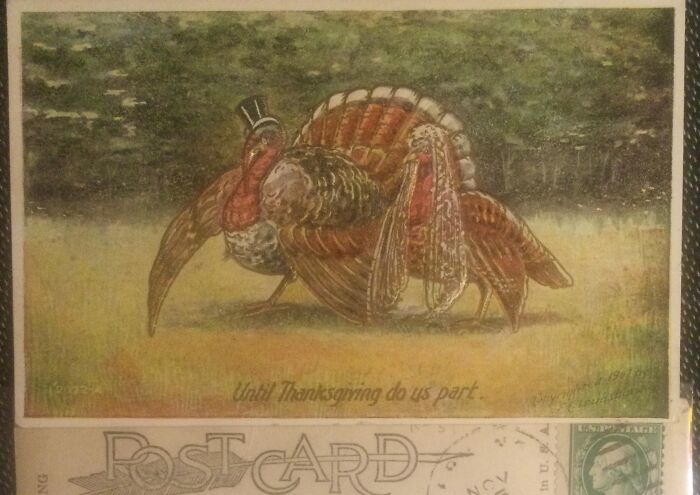 This Thanksgiving Greetings Card From 1909 🦃🪓💔