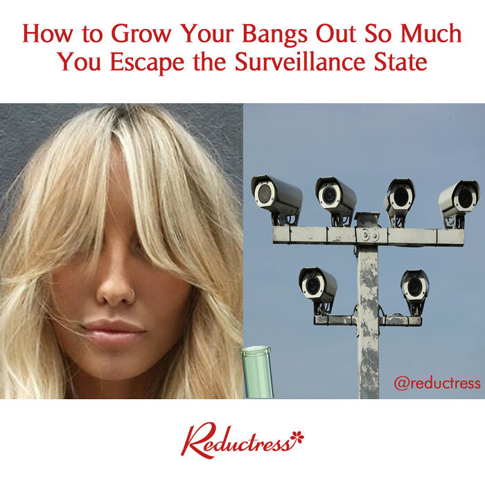 Just A Few More Inches And You'll Be Freeeee. #bangs #surveillance