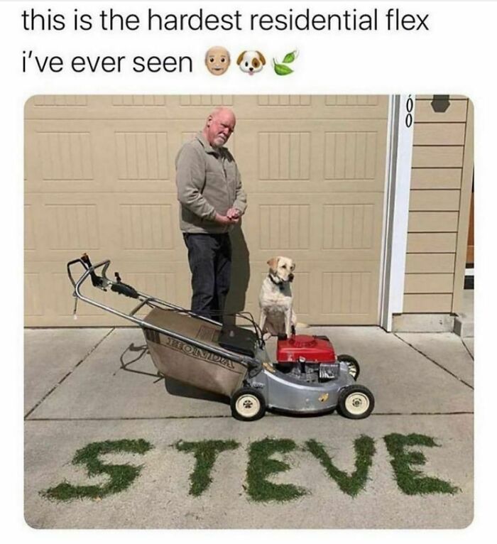 You Didn’t Have To Flex This Hard Steve