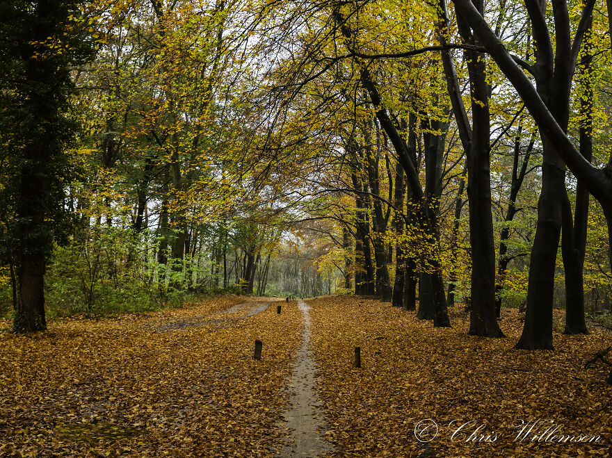 The Beauty Of Autumn In Holland