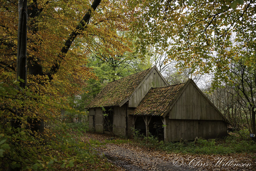 The Beauty Of Autumn In Holland