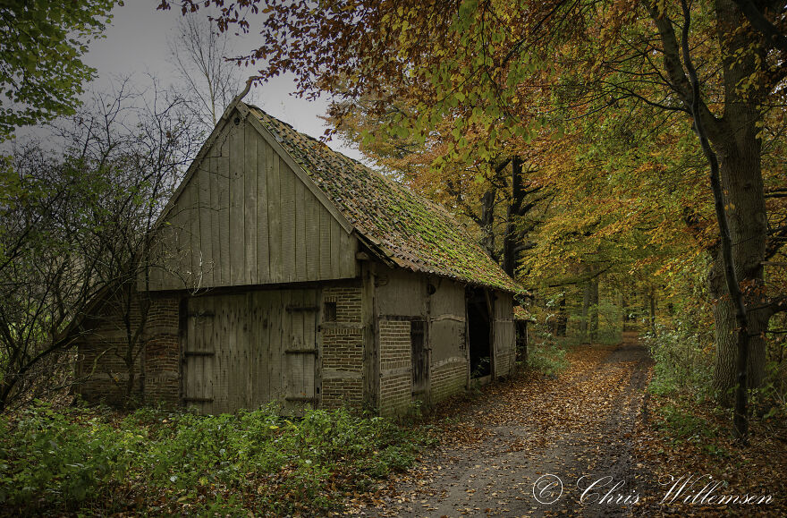 The Beauty Of Autumn In Holland
