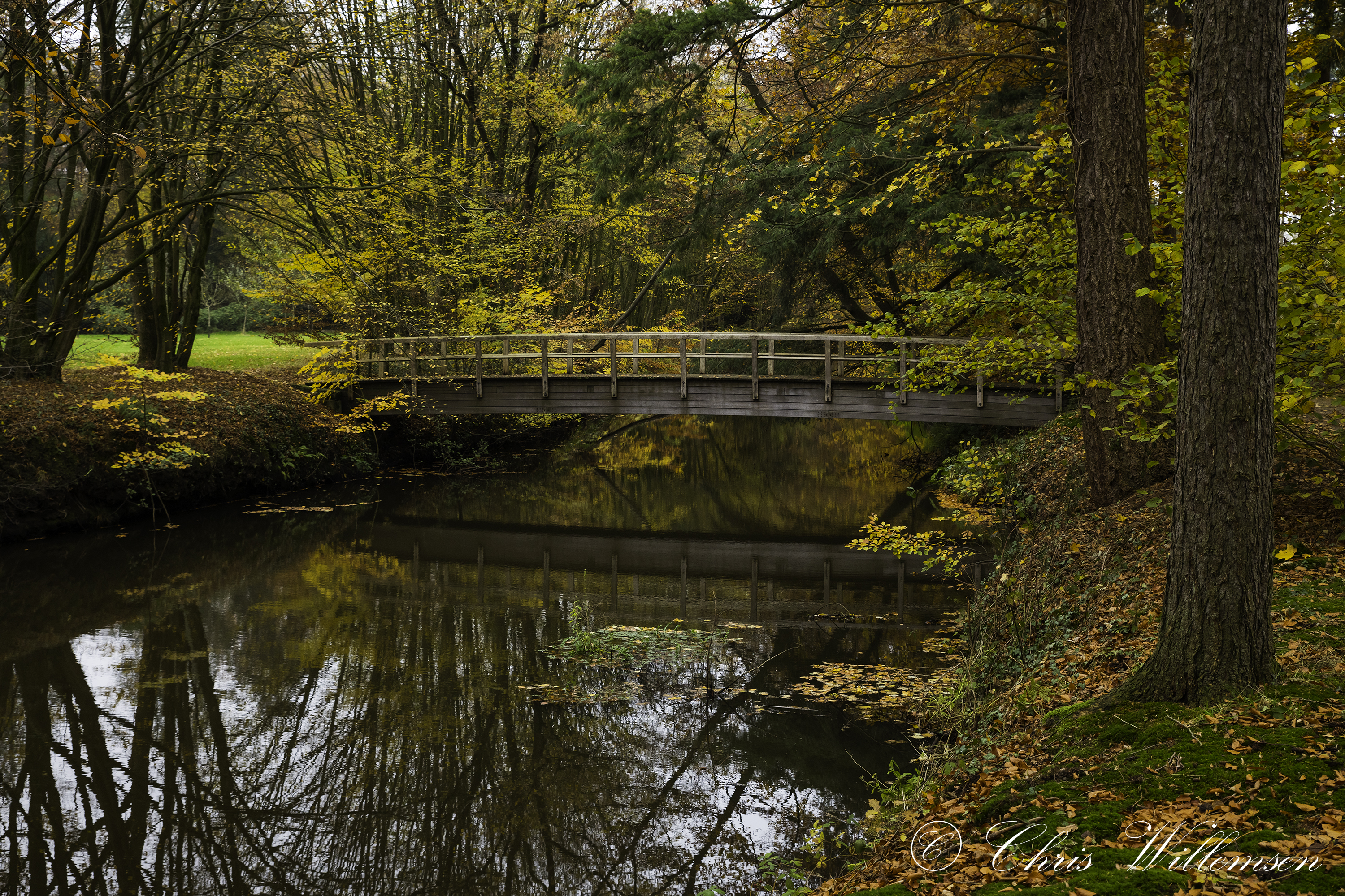 The Beauty Of Autumn In Holland