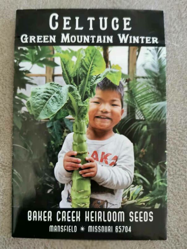 Celtuce-61a297b4c30e1-jpeg.jpg