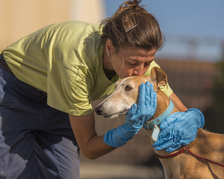 Documenté la lucha de razas raras de perros españoles en este refugio, y es mortificante