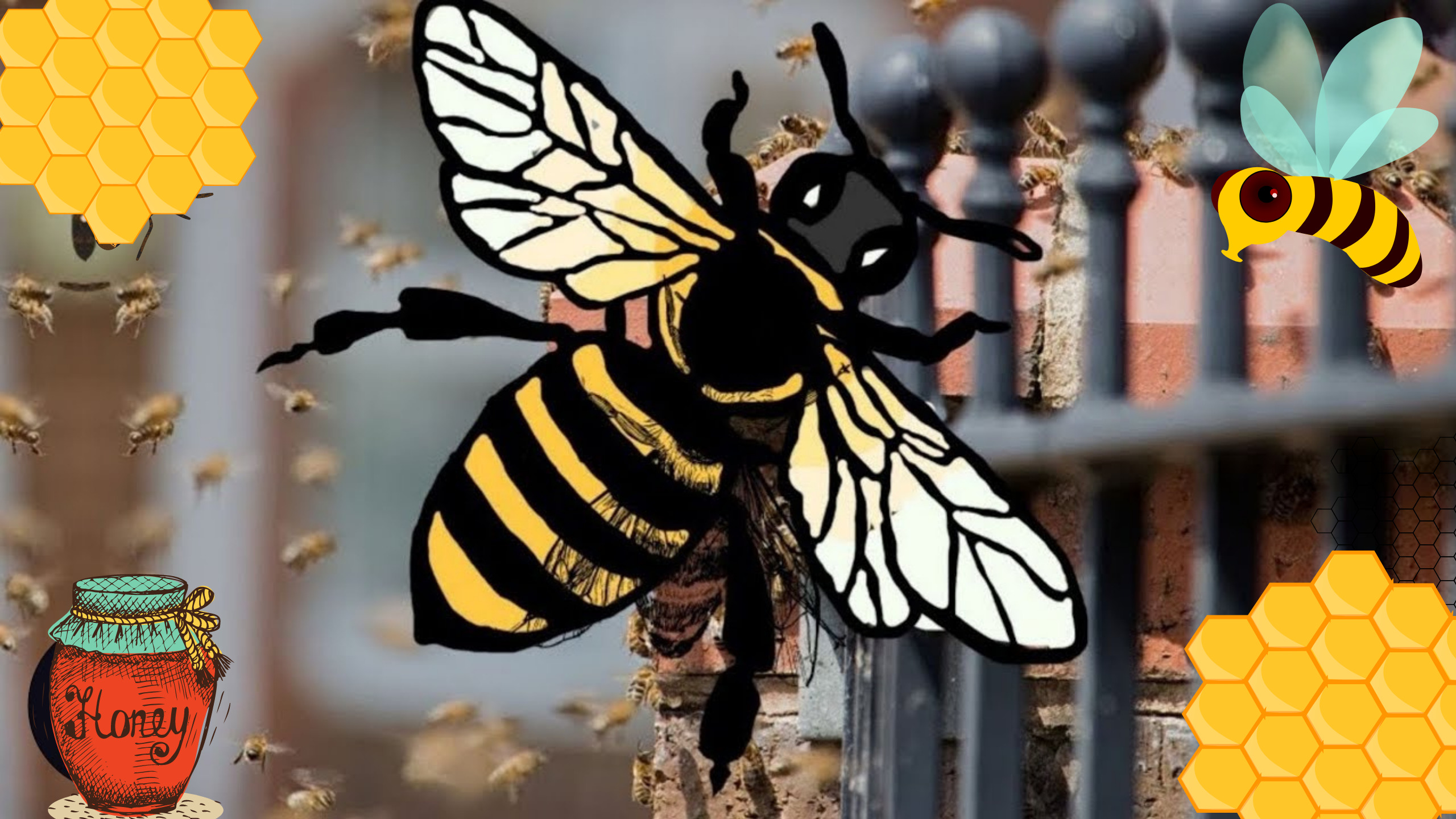 Bee Nest On A Street
