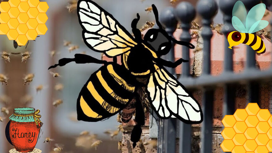 Bee Nest On A Street Bee Nest On A Street