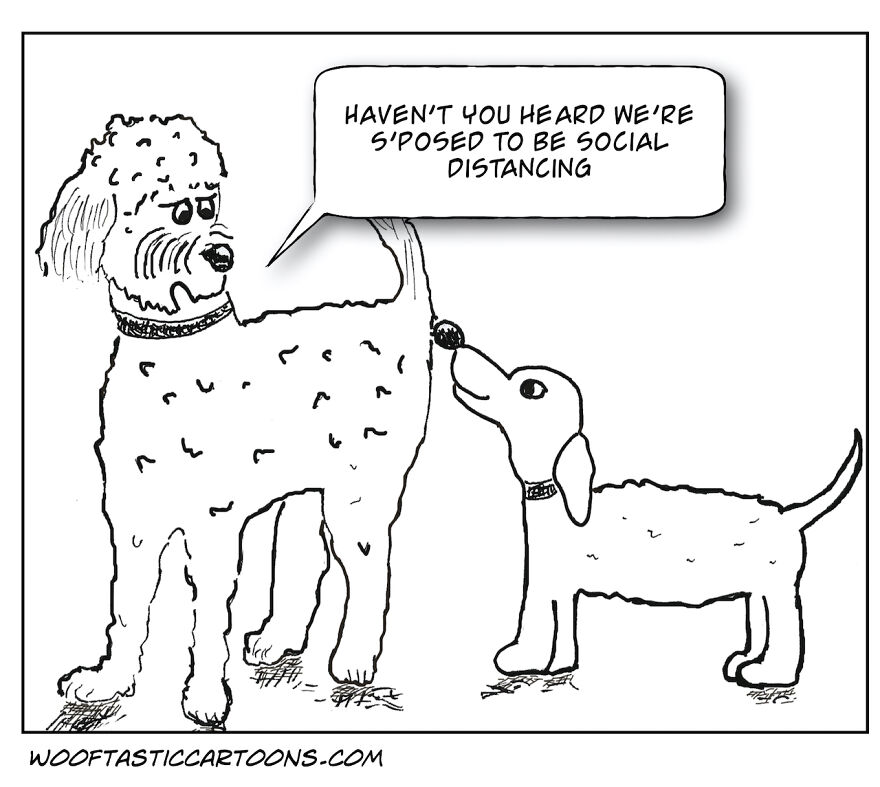 Wooftastic Dog Cartoons